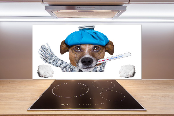 Achterwand keuken Zieke hond