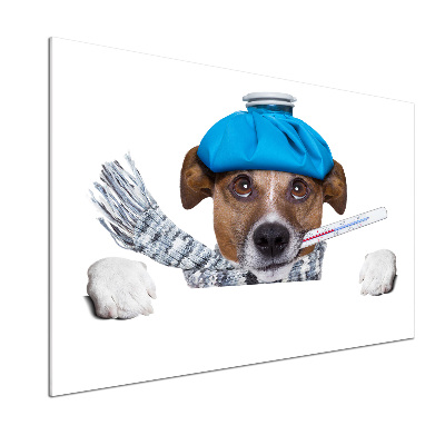 Achterwand keuken Zieke hond