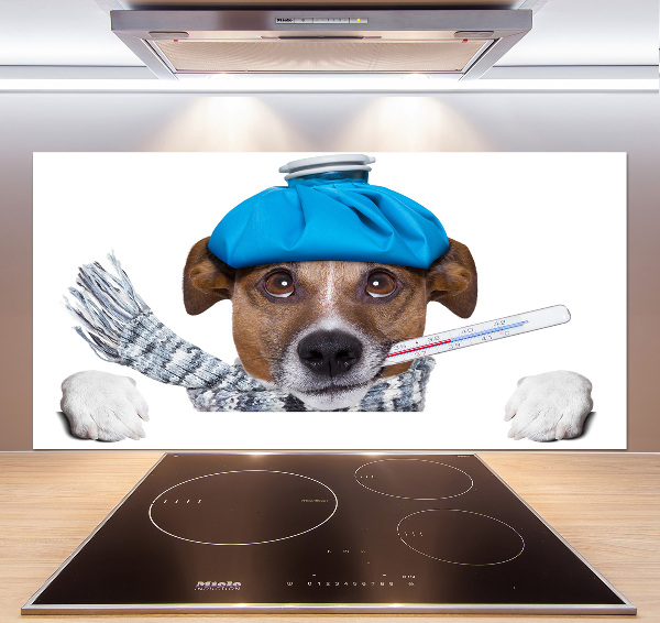Achterwand keuken Zieke hond