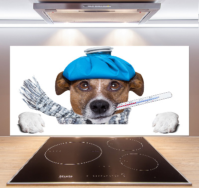 Achterwand keuken Zieke hond