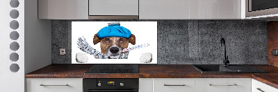 Achterwand keuken Zieke hond