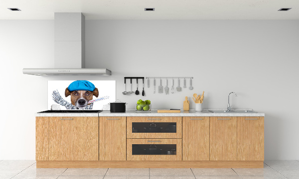 Achterwand keuken Zieke hond