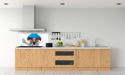 Achterwand keuken Zieke hond
