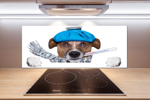Achterwand keuken Zieke hond