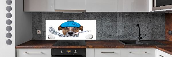 Achterwand keuken Zieke hond