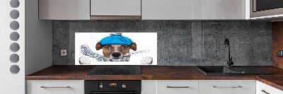 Achterwand keuken Zieke hond