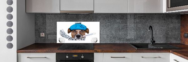 Achterwand keuken Zieke hond