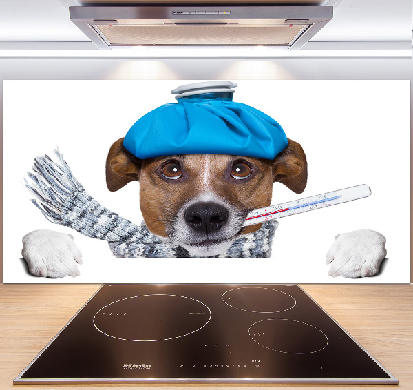 Achterwand keuken Zieke hond