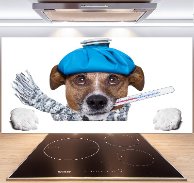 Achterwand keuken Zieke hond