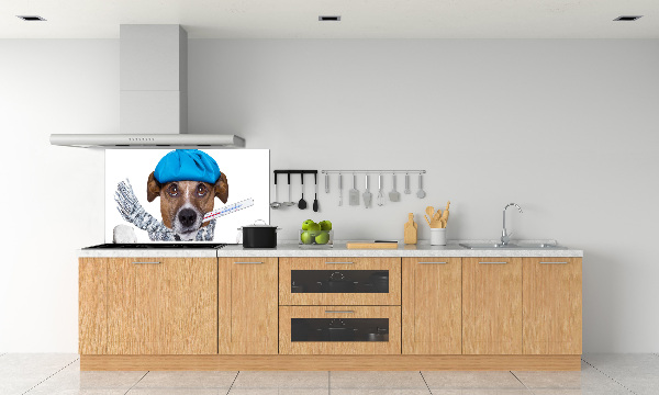 Achterwand keuken Zieke hond