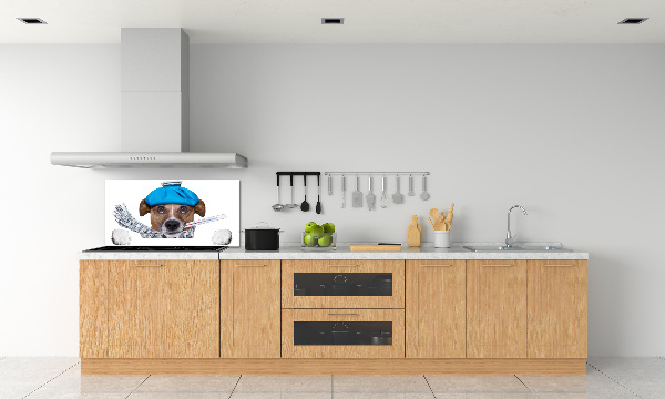 Achterwand keuken Zieke hond
