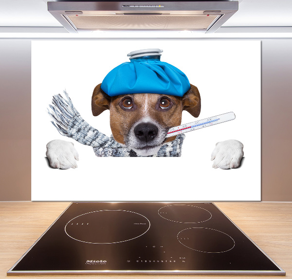 Achterwand keuken Zieke hond
