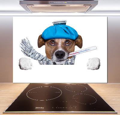 Achterwand keuken Zieke hond