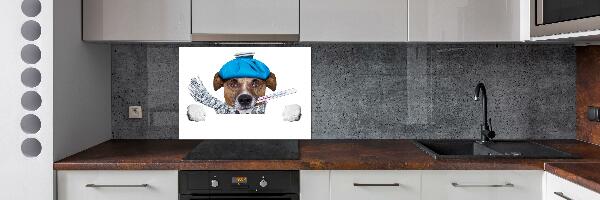 Achterwand keuken Zieke hond