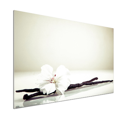 Achterwand keuken Vanillestokje