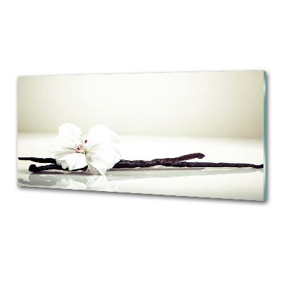 Achterwand keuken Vanillestokje