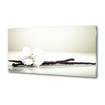 Achterwand keuken Vanillestokje