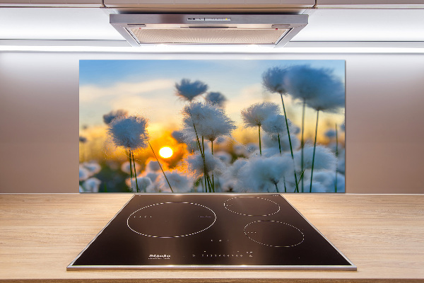 Spatplaat keuken Wolgras