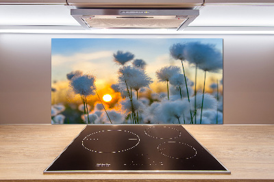 Spatplaat keuken Wolgras