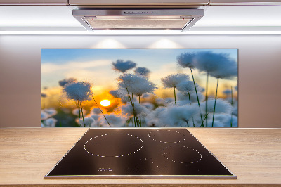 Spatplaat keuken Wolgras