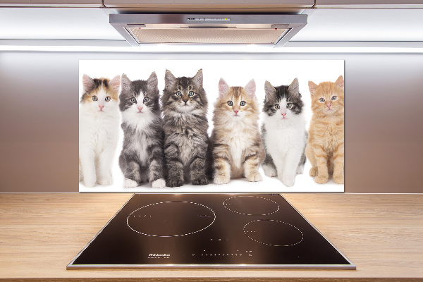 Spatplaat keuken Zes katten