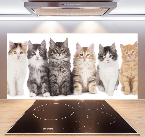 Spatplaat keuken Zes katten