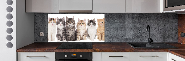 Spatplaat keuken Zes katten