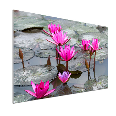 Glazen achterwand keuken Lotusbloem