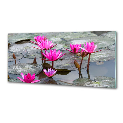 Glazen achterwand keuken Lotusbloem