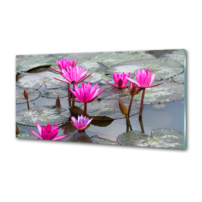 Glazen achterwand keuken Lotusbloem