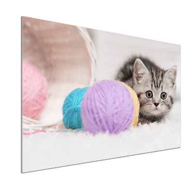 Achterwand keuken Kat met strengen