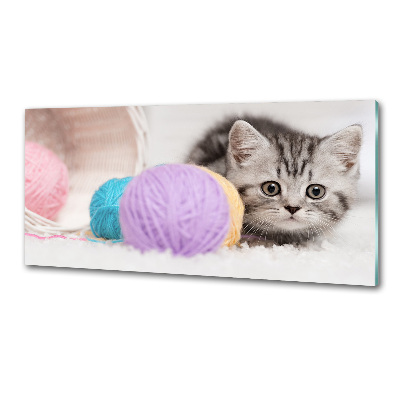 Achterwand keuken Kat met strengen