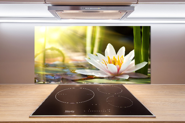 Spatplaat keuken Waterlelie