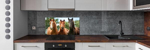 Spatplaat keuken Drie paarden