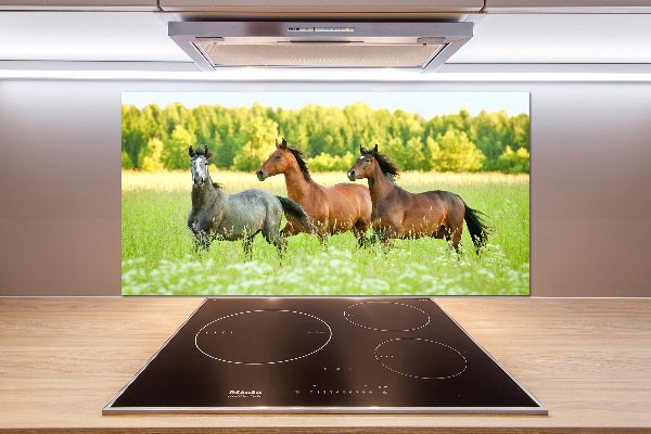 Keuken achterwand Paarden in galop