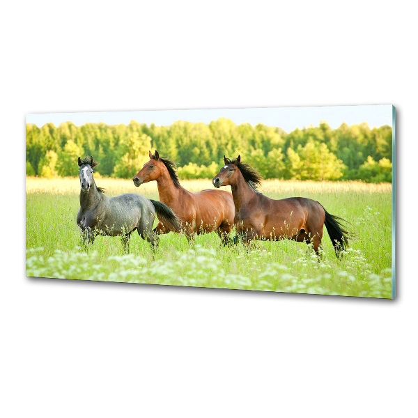 Keuken achterwand Paarden in galop