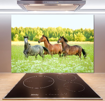 Keuken achterwand Paarden in galop