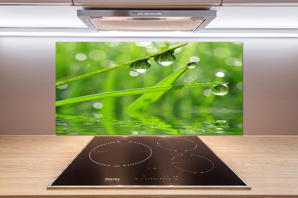 Glazen achterwand keuken Druppels op het gras