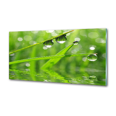 Glazen achterwand keuken Druppels op het gras