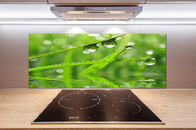 Glazen achterwand keuken Druppels op het gras