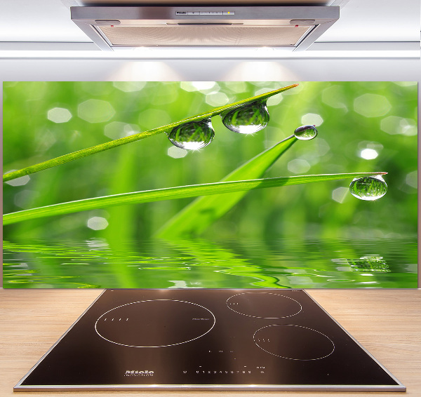 Glazen achterwand keuken Druppels op het gras
