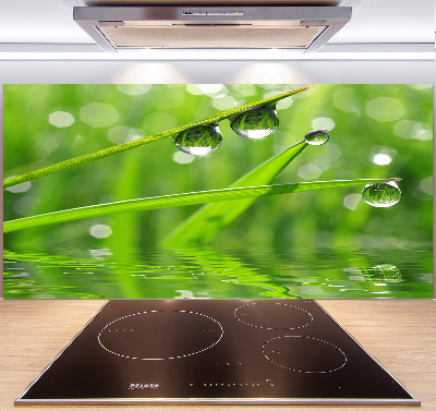 Glazen achterwand keuken Druppels op het gras