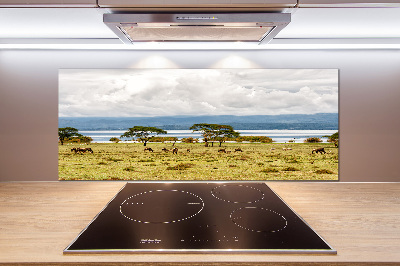 Achterwand keuken Naivasha-meer