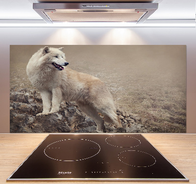 Spatscherm keuken Witte wolf op een rots