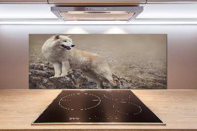 Spatscherm keuken Witte wolf op een rots