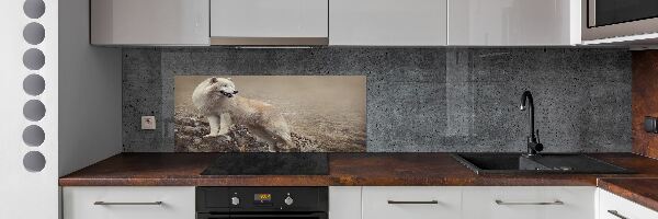 Spatscherm keuken Witte wolf op een rots