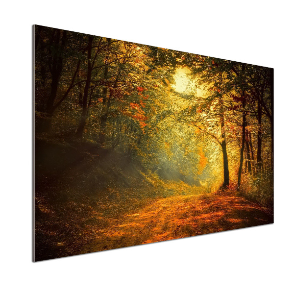 Achterwand keuken Bos in de herfst