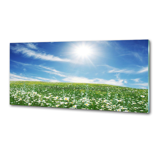 Spatscherm keuken Wei