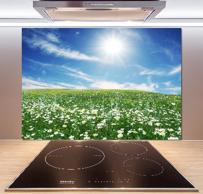 Spatscherm keuken Wei