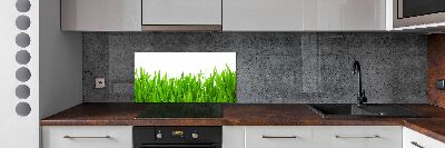 Achterwand keuken Gras